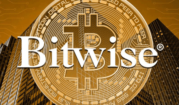 بیت وایز