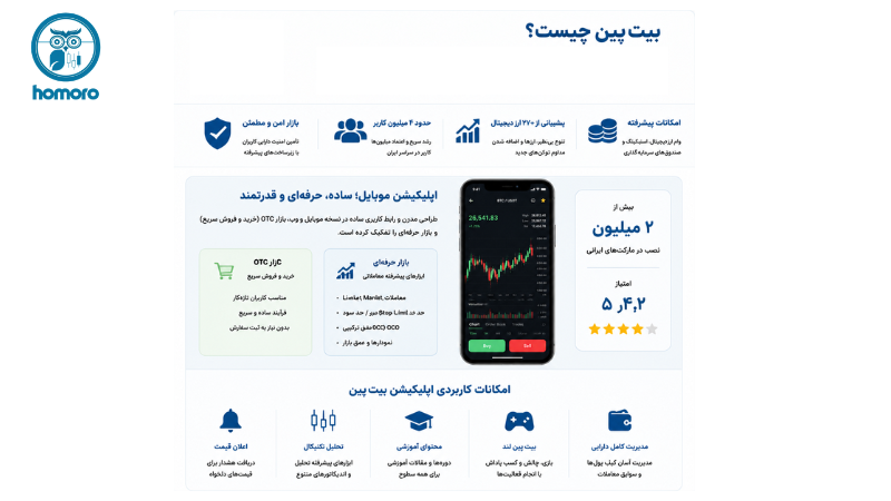 بیت‌ پین چیست؟